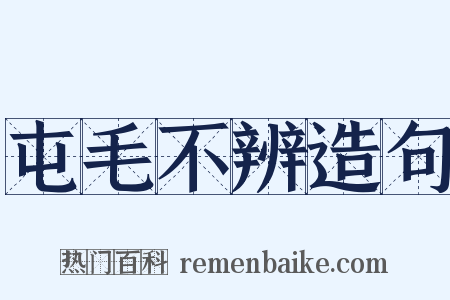 屯毛不辨造句是什么意思的图片